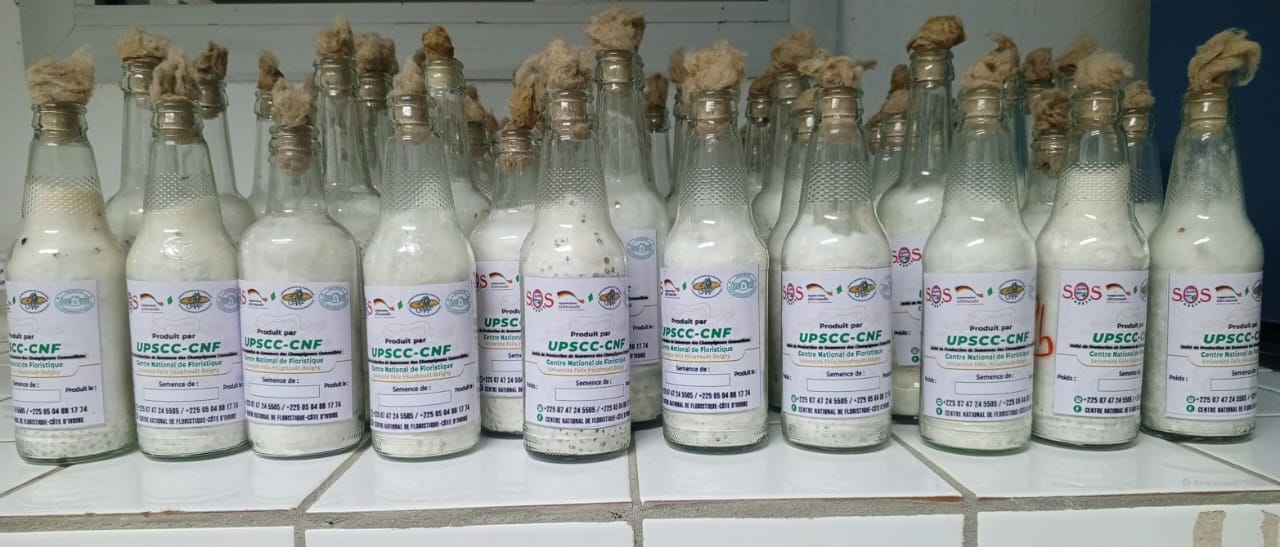 Semences de Champignons Comestibles du CNF : Qualité Scientifique pour une Production Rentable