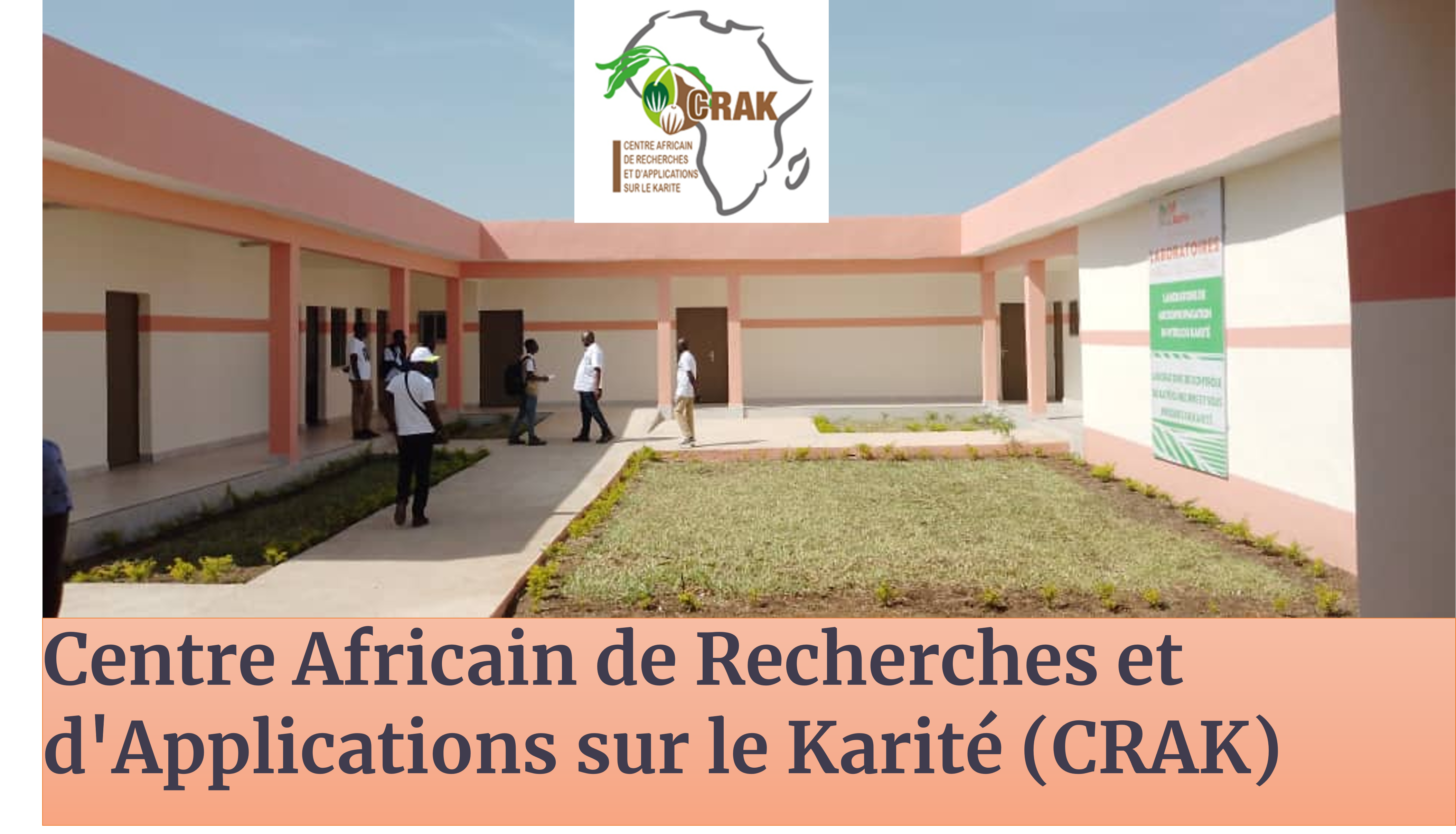 Recherche, innovation et accompagnement stratégique de la filière karité