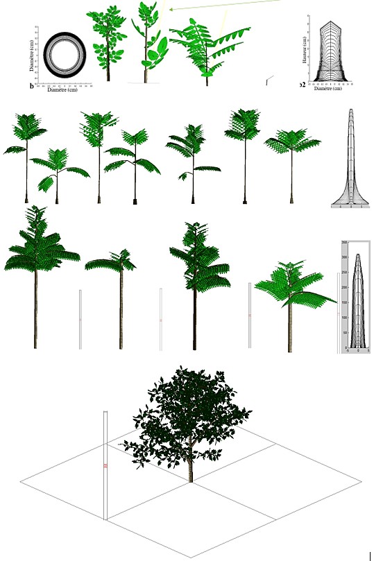 Sylviculture de précision et amélioration génétique du Vène (Pterocarpus erinaceus) et du Caïlcédrat (Khaya senegalensis)
