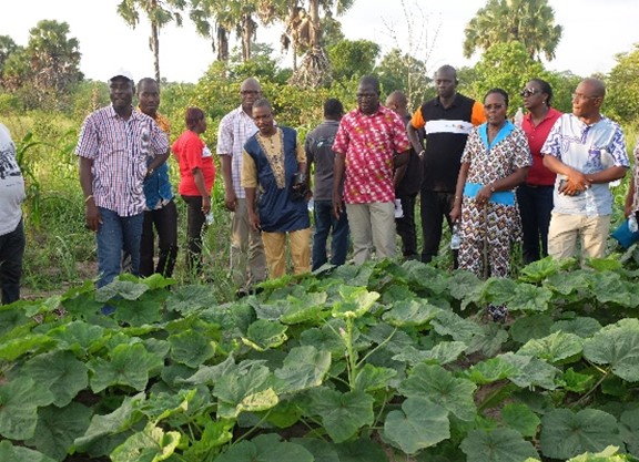 Station expérimentale de Bringakro pour essais agricoles et innovation rurale