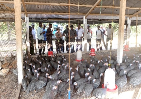 Ferme-école de Bringakro pour formation pratique et entrepreneuriat agricole