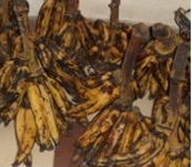 Accompagnement à la mise en place d’unités de transformation et de surgélation du plantain